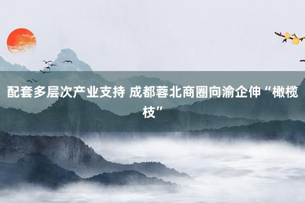 配套多层次产业支持 成都蓉北商圈向渝企伸“橄榄枝”